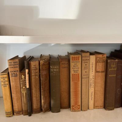 Large Assortment of Beige and Brown Books (LR-RG)