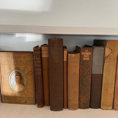 Large Assortment of Beige and Brown Books (LR-RG)