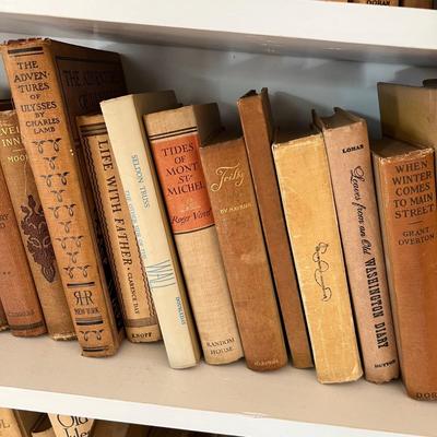 Large Assortment of Beige and Brown Books (LR-RG)