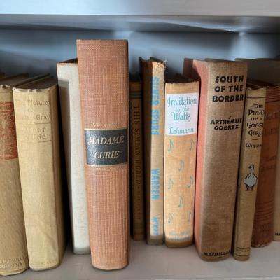 Large Assortment of Beige and Brown Books (LR-RG)