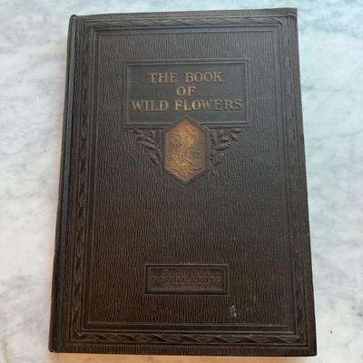 Assortment of Books 1800’s-1900’s W/Dark Covers (LR-RG)