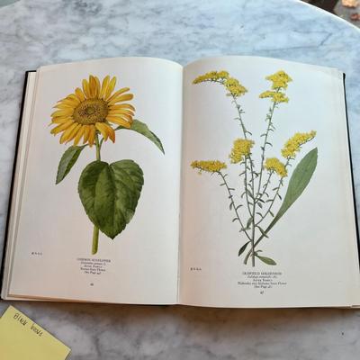 Assortment of Books 1800’s-1900’s W/Dark Covers (LR-RG)