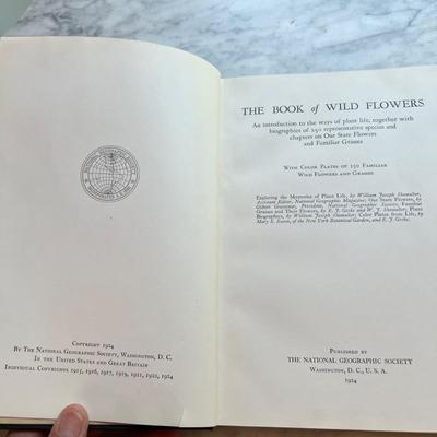 Assortment of Books 1800’s-1900’s W/Dark Covers (LR-RG)