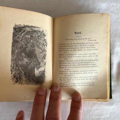 Antique Diary, Photographs, Scrap-Book & More (LR-RG)