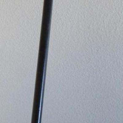 Walking Cane #2