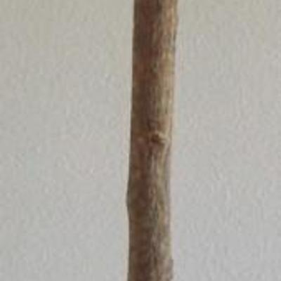 Indian Chief Head Walking Stick