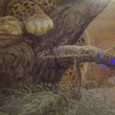 Leopards framed picture by Ruane Manning