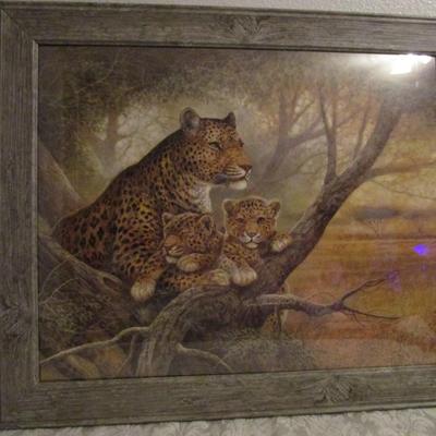 Leopards framed picture by Ruane Manning