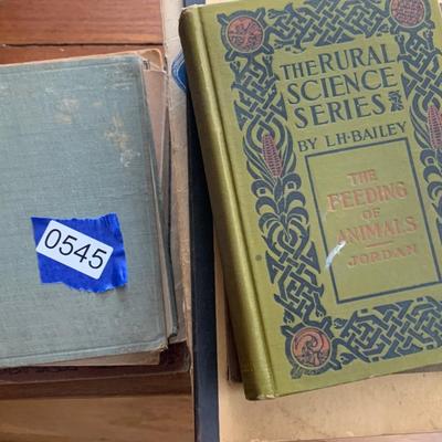 Antique Book Lot