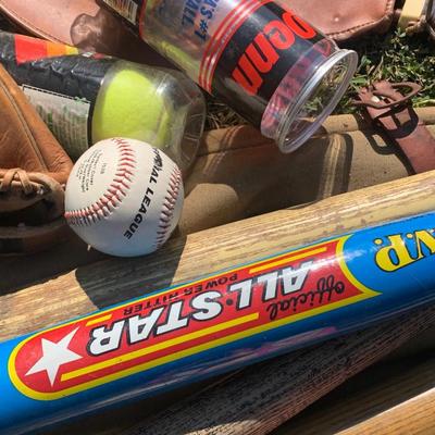 Sporting Goods Lot
