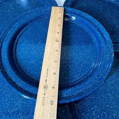 Lot 301 Granitware Plates