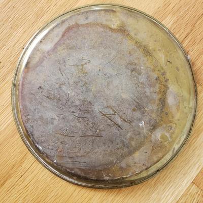 Frogs, Yard Tools and More (PB-KD)