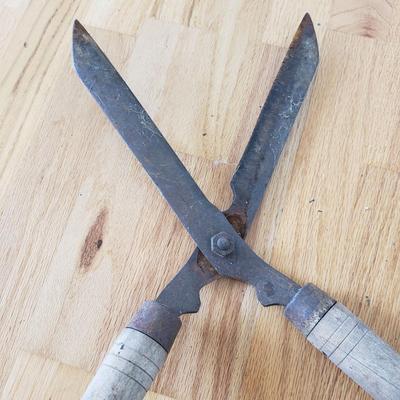 Frogs, Yard Tools and More (PB-KD)