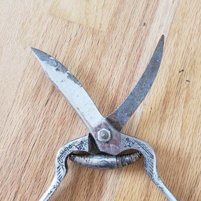 Frogs, Yard Tools and More (PB-KD)