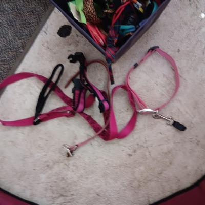 SMALL DOG/PUPPY PLAY PEN PLUS DOG COLLARS & LEASHES