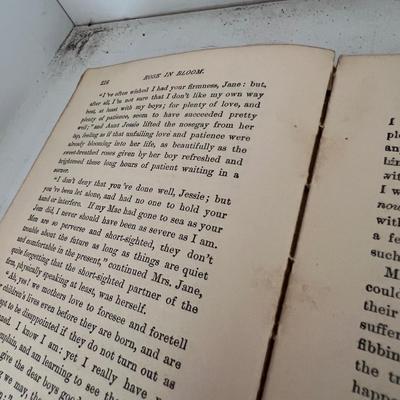 Louisa M. Alcott Book Collection 1896 (LR-RG)