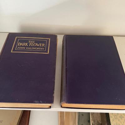 John Galsworthy & Joseph Conrad Book Collections (LR-RG)