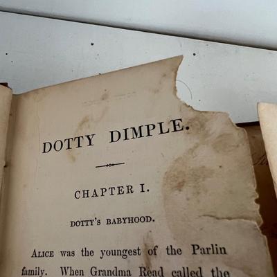 Little Prudy’s 1875 Story Book Collection & More (LR-RG)