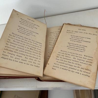 Little Prudy’s 1875 Story Book Collection & More (LR-RG)