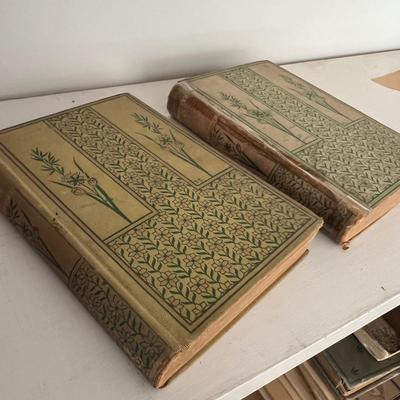 Little Prudy’s 1875 Story Book Collection & More (LR-RG)