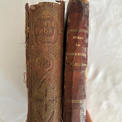 Antique Book Ends & Leather bound Books (LR-RG)