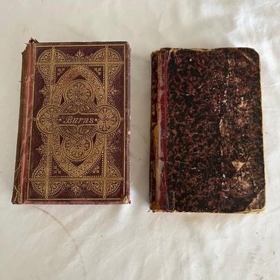 Antique Book Ends & Leather bound Books (LR-RG)