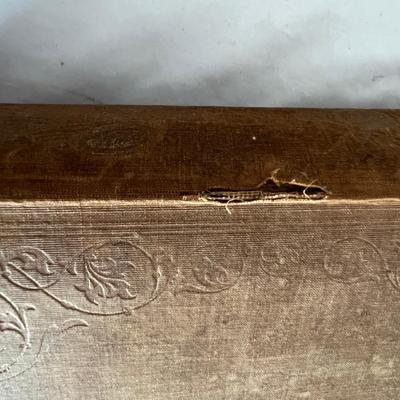 Antique Book Ends & Leather bound Books (LR-RG)