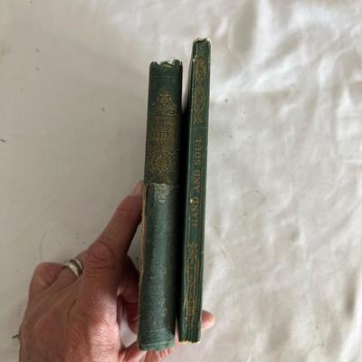 Antique Book Ends & Leather bound Books (LR-RG)