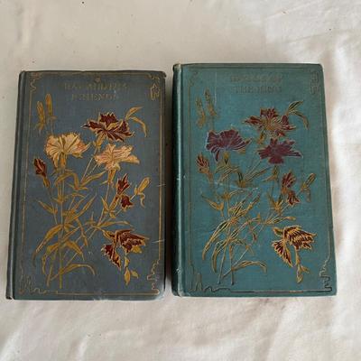Antique Book Ends & Leather bound Books (LR-RG)