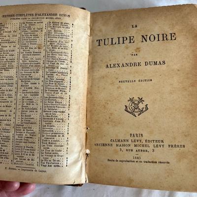 Antique Book Ends & Leather bound Books (LR-RG)