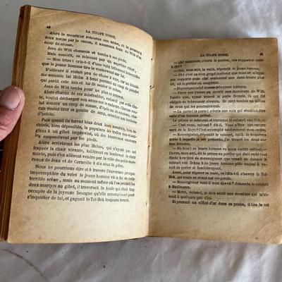 Antique Book Ends & Leather bound Books (LR-RG)