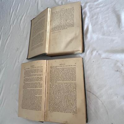 Antique Book Ends & Leather bound Books (LR-RG)