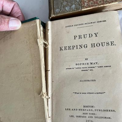 Antique Book Ends & Leather bound Books (LR-RG)