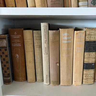 Fiction & Non Fiction - Large Lot of Antique Books (LR-RG)
