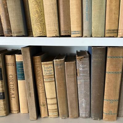 Fiction & Non Fiction - Large Lot of Antique Books (LR-RG)