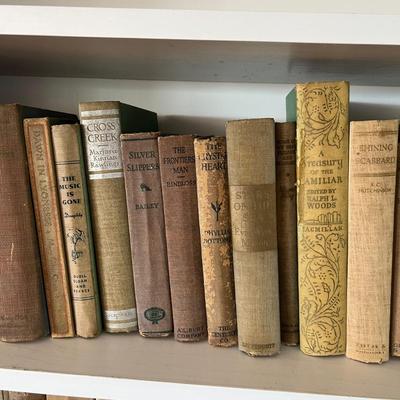 Fiction & Non Fiction - Large Lot of Antique Books (LR-RG)