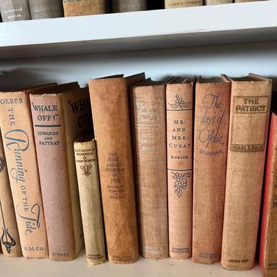 Fiction & Non Fiction - Large Lot of Antique Books (LR-RG)