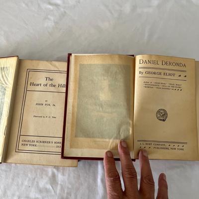 Fiction & Non Fiction - Large Lot of Antique Books (LR-RG)