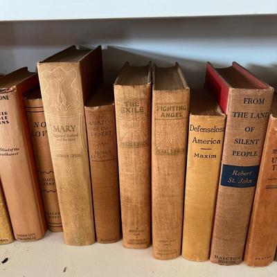 Fiction & Non Fiction - Large Lot of Antique Books (LR-RG)