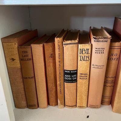 Fiction & Non Fiction - Large Lot of Antique Books (LR-RG)