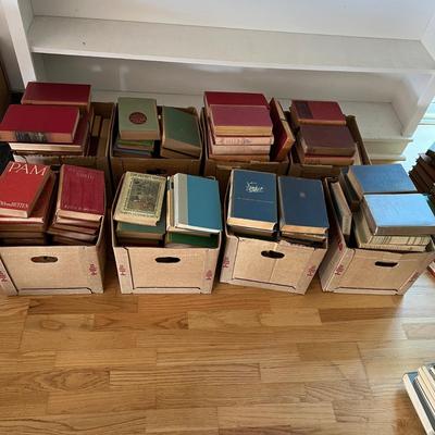 Fiction & Non Fiction - Large Lot of Antique Books (LR-RG)