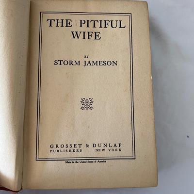 Fiction & Non Fiction - Large Lot of Antique Books (LR-RG)