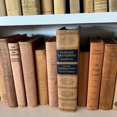 Fiction & Non Fiction - Large Lot of Antique Books (LR-RG)