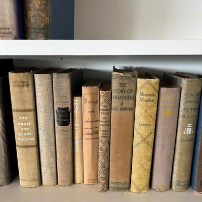 Fiction & Non Fiction - Large Lot of Antique Books (LR-RG)