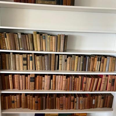 Fiction & Non Fiction - Large Lot of Antique Books (LR-RG)