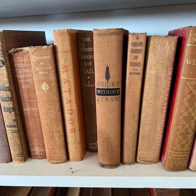 Fiction & Non Fiction - Large Lot of Antique Books (LR-RG)