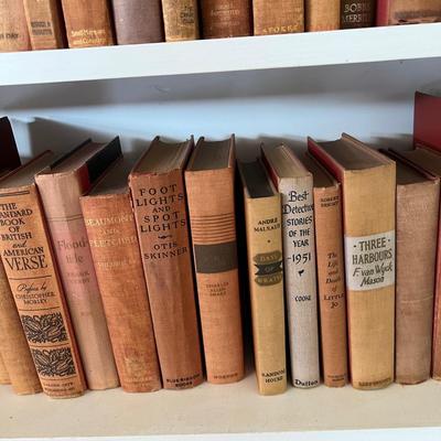 Fiction & Non Fiction - Large Lot of Antique Books (LR-RG)