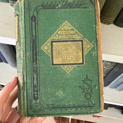 Antique Books in Various Shades of Blue and Green (LR-DZ)