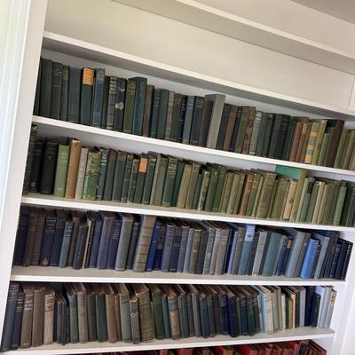 Antique Books in Various Shades of Blue and Green (LR-DZ)
