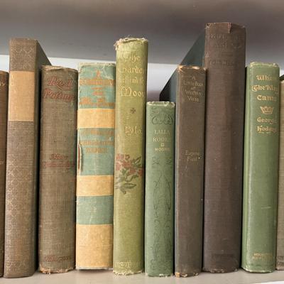 Antique Books in Various Shades of Blue and Green (LR-DZ)
